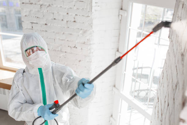 Best Post-Remediation Verification Testing  in East Camden, SC