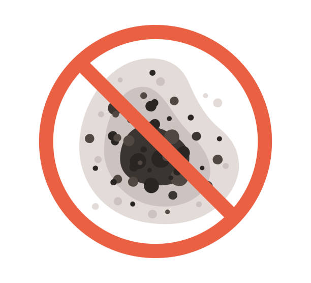 Best Commercial Mold Inspection  in East Camden, SC